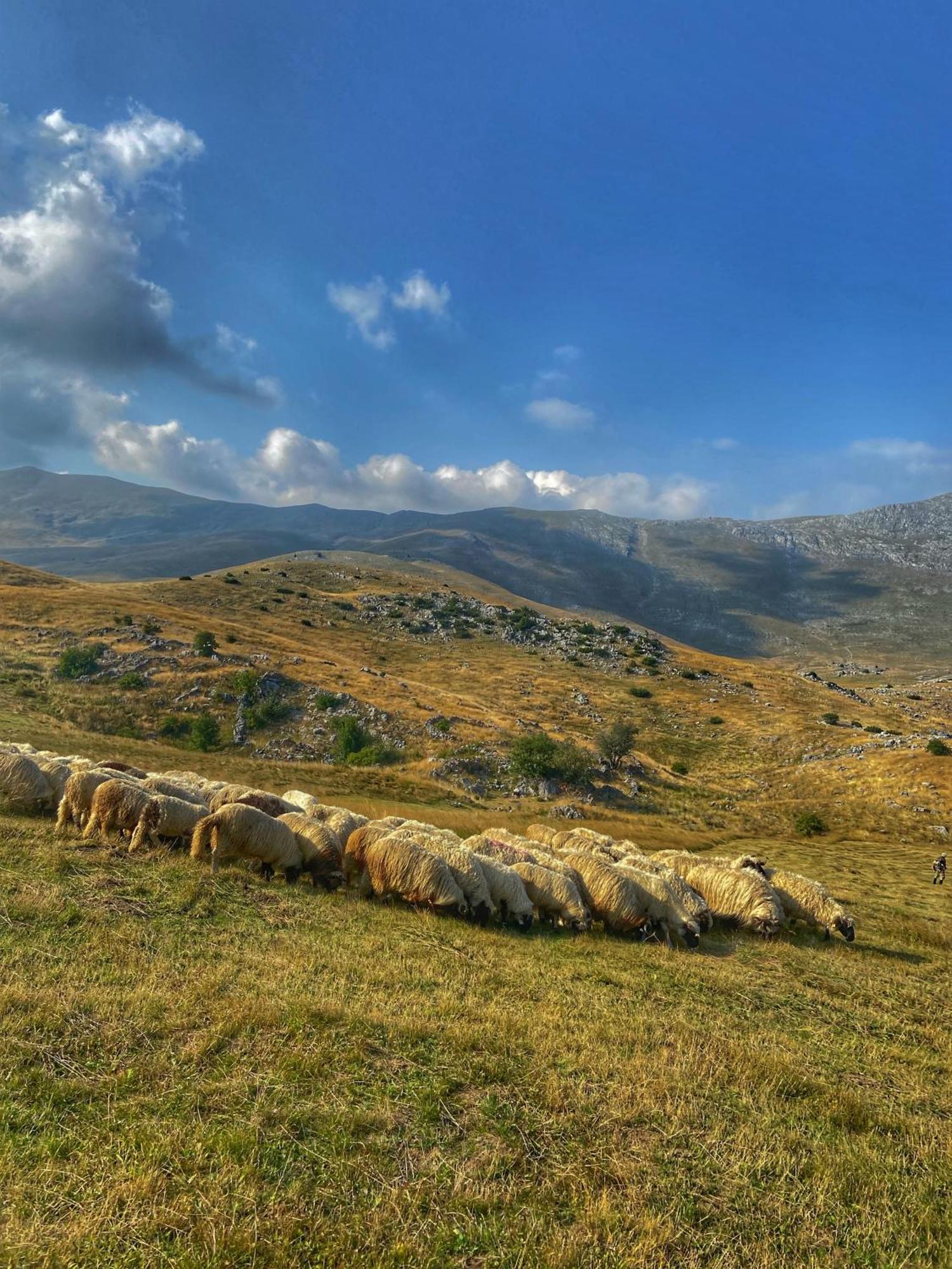 Konak Umoljani Exterior foto